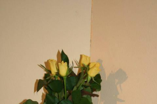 Koncert k sviatku žien