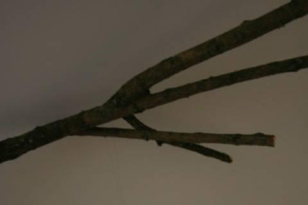 Exkurzia za umením - Galéria Ľudovíta Fullu