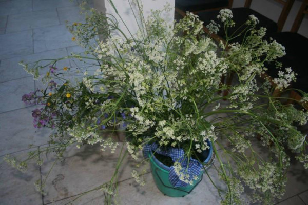 Milí rodičia a priatelia hudby.