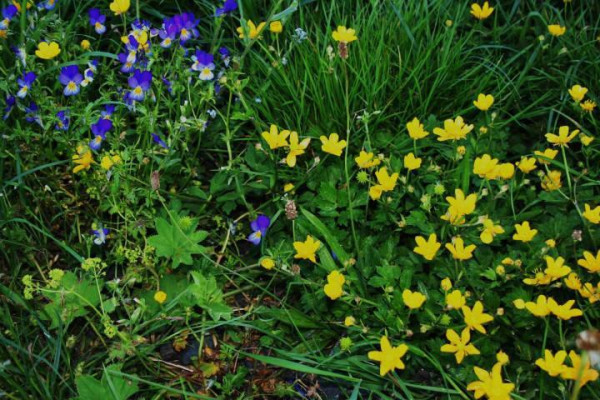 Kdo jsme Kto sme (poznávanie, tvorba, priateľstvo) V.