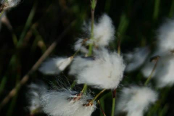 Kdo jsme Kto sme (poznávanie, tvorba, priateľstvo) V.