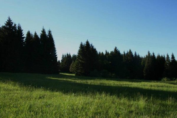 Kdo jsme Kto sme (poznávanie, tvorba, priateľstvo) V.