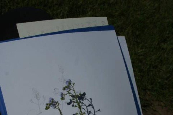 Kdo jsme Kto sme (poznávanie, tvorba, priateľstvo) V.