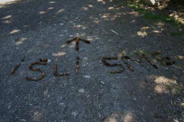 Kdo jsme Kto sme (poznávanie, tvorba, priateľstvo) IV.