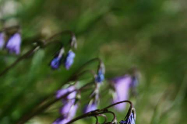 Kdo jsme Kto sme (poznávanie, tvorba, priateľstvo) IV.