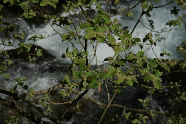 Kdo jsme Kto sme (poznávanie, tvorba, priateľstvo) IV.