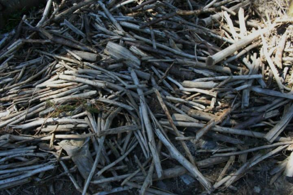 Kdo jsme Kto sme (poznávanie, tvorba, priateľstvo) IV.