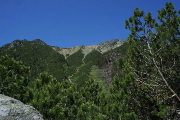 Kdo jsme Kto sme (poznávanie, tvorba, priateľstvo) IV.