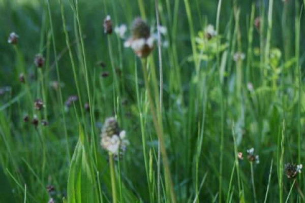Kdo jsme Kto sme (poznávanie, tvorba, priateľstvo) III.
