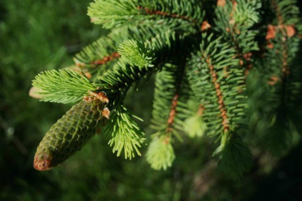 Kdo jsme Kto sme (poznávanie, tvorba, priateľstvo) III.
