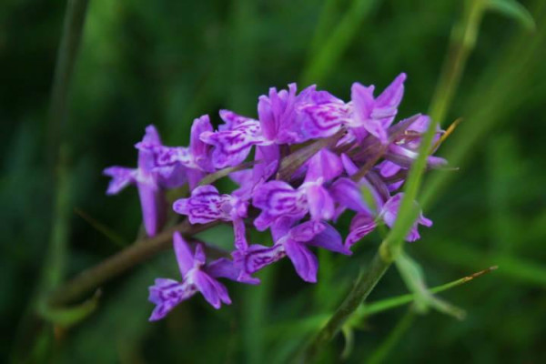 Kdo jsme Kto sme (poznávanie, tvorba, priateľstvo) III.