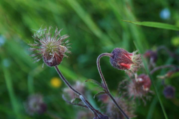 Kdo jsme Kto sme (poznávanie, tvorba, priateľstvo) III.