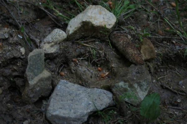 Kdo jsme Kto sme (poznávanie, tvorba, priateľstvo) II.