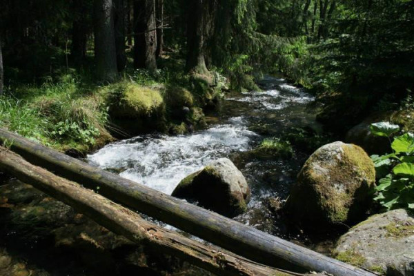 Kdo jsme Kto sme (poznávanie, tvorba, priateľstvo) II.