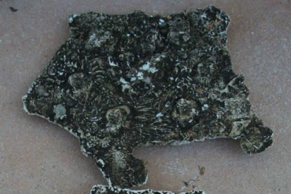 Kdo jsme Kto sme (poznávanie, tvorba, priateľstvo) II.