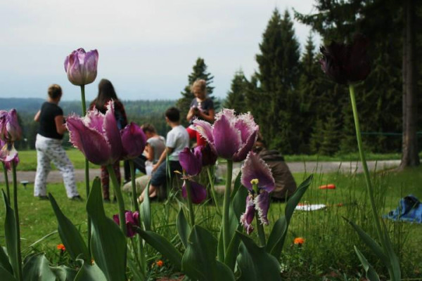 Kdo jsme Kto sme (poznávanie, tvorba, priateľstvo) I.