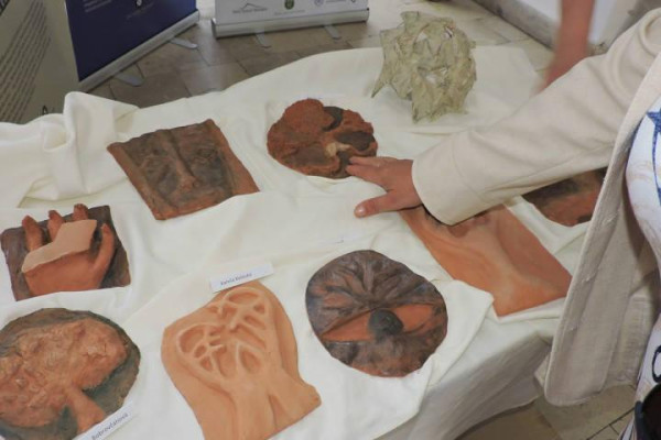 Absolventská výstava