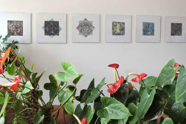 Mária Pavkovčeková - absolventská výstava