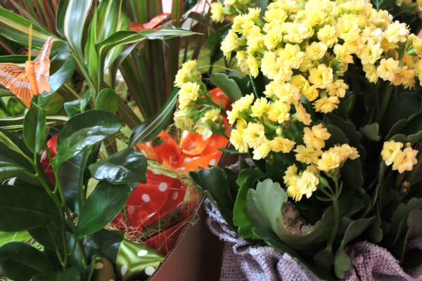 Absolventský koncert 2017