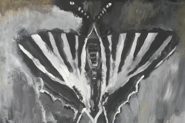 Ocenenie z portugalskej Evory 2018