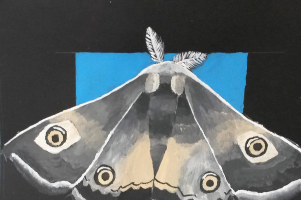 Ocenenie z portugalskej Evory 2018