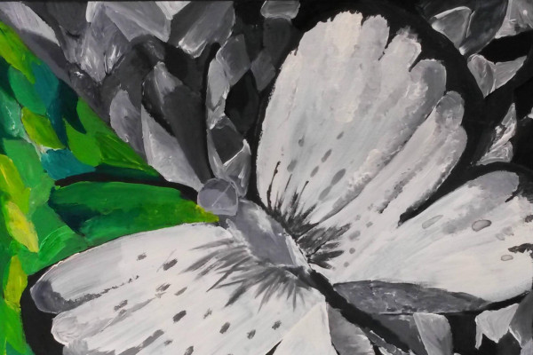 Ocenenie z portugalskej Evory 2018