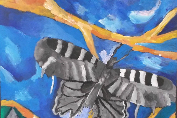 Ocenenie z portugalskej Evory 2018