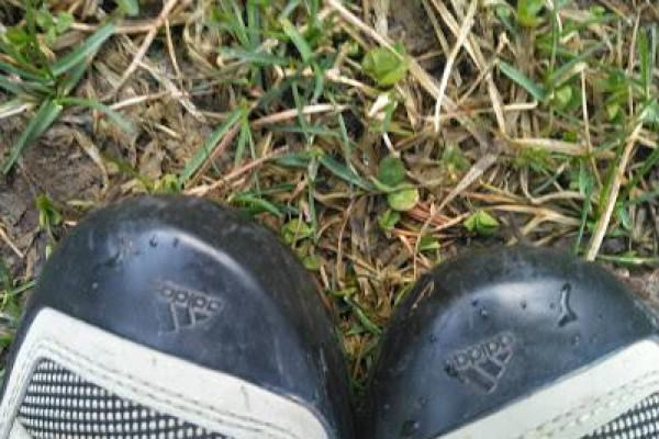 Sustredenie Lúč 2018