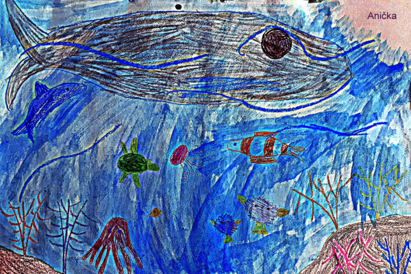 Tvoríme v domácom prostredí pod vedením J. Khouri