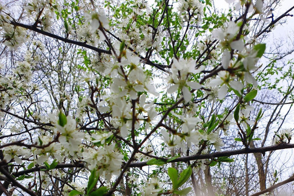 Tvoríme v domácom prostredí pod vedením J. Khouri