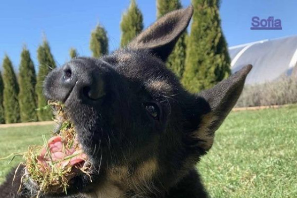 Tvoríme v domácom prostredí pod vedením J. Khouri