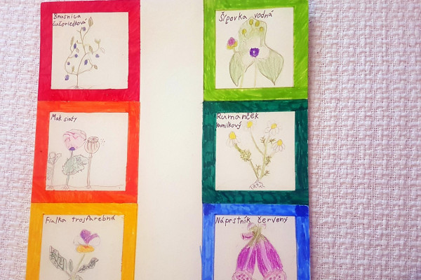 Tvoríme v domácom prostredí pod vedením J. Khouri