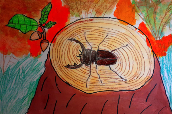 Tvoríme v domácom prostredí pod vedením J. Khouri