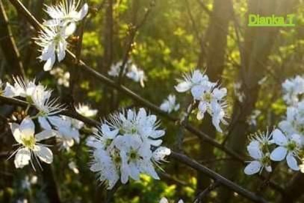 Tvoríme v domácom prostredí pod vedením J. Khouri