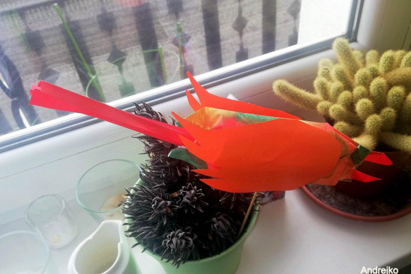 Tvoríme v domácom prostredí pod vedením J. Khouri