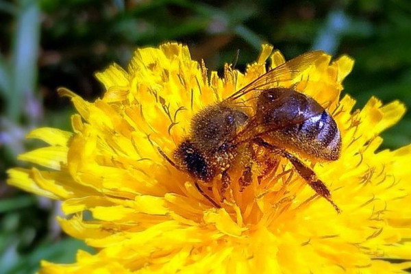 Tvoríme v domácom prostredí pod vedením J. Khouri