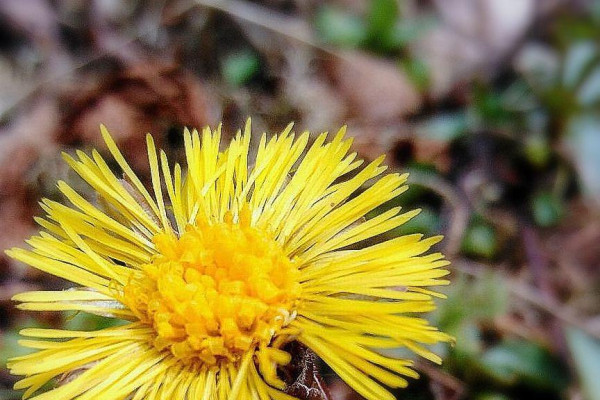 Tvoríme v domácom prostredí pod vedením J. Khouri