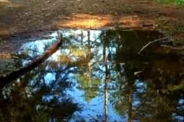 Tvoríme v domácom prostredí pod vedením J. Khouri