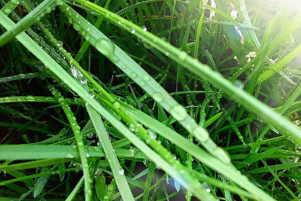 Tvoríme v domácom prostredí pod vedením J. Khouri