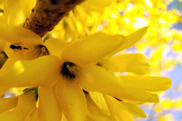 Tvoríme v domácom prostredí pod vedením J. Khouri