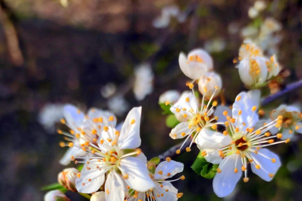 Tvoríme v domácom prostredí pod vedením J. Khouri