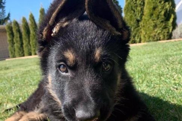 Tvoríme v domácom prostredí pod vedením J. Khouri