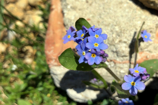 Tvoríme v domácom prostredí pod vedením J. Khouri
