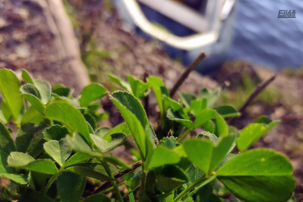 Tvoríme v domácom prostredí pod vedením J. Khouri