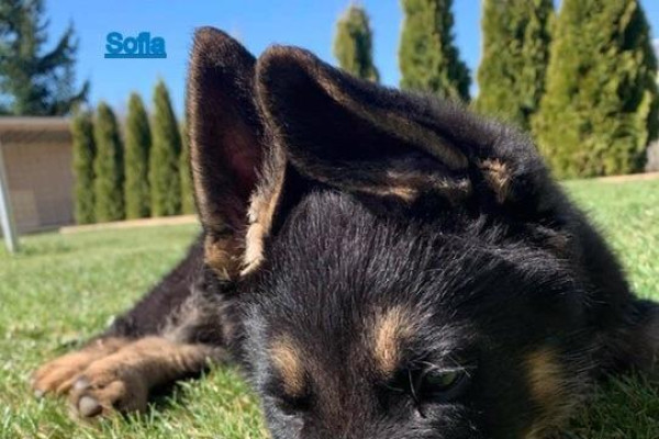 Tvoríme v domácom prostredí pod vedením J. Khouri