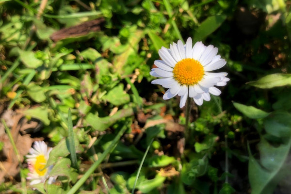 Tvoríme v domácom prostredí pod vedením J. Khouri