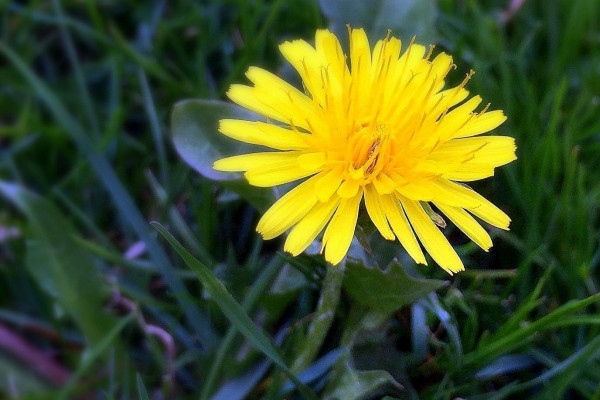 Tvoríme v domácom prostredí pod vedením J. Khouri