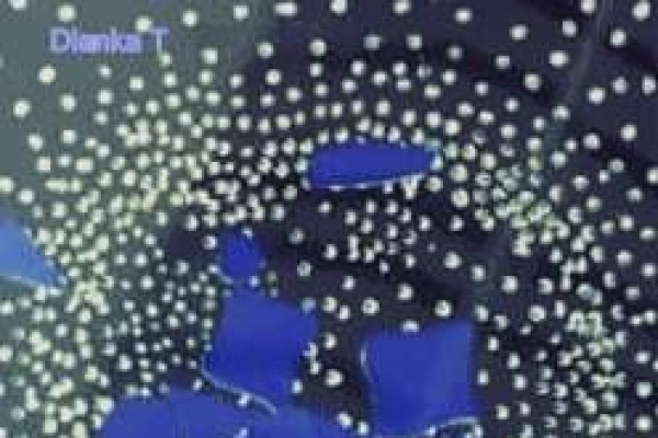 Tvoríme v domácom prostredí pod vedením J. Khouri