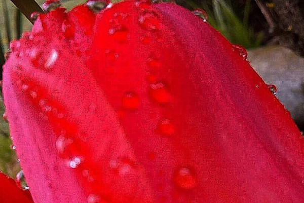 Tvoríme v domácom prostredí pod vedením J. Khouri