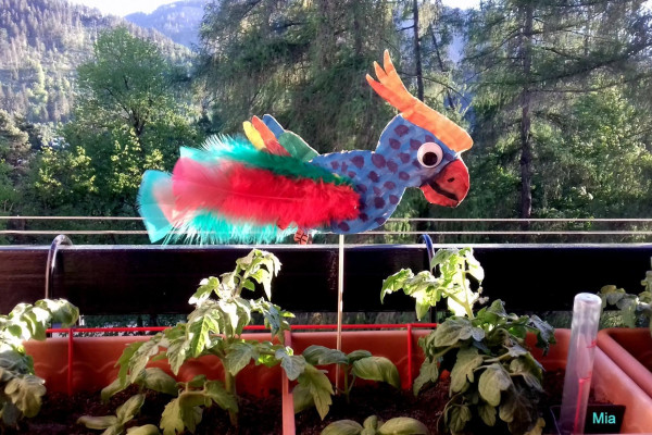 Tvoríme v domácom prostredí pod vedením J. Khouri